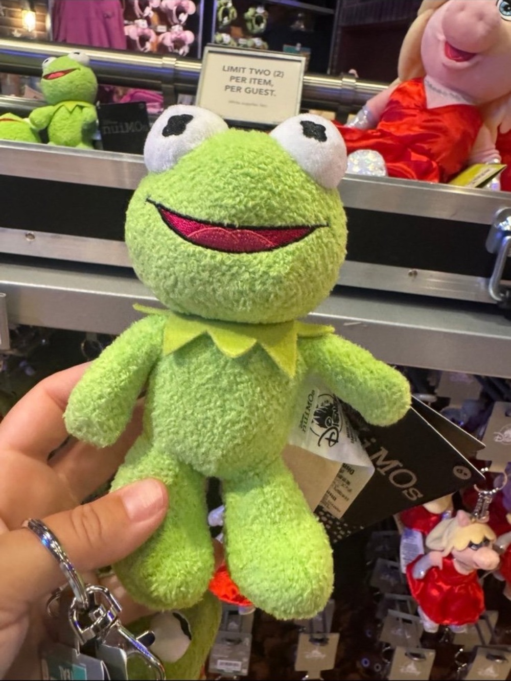 Disney parks The Muppets Kermit the Frog Nuimo